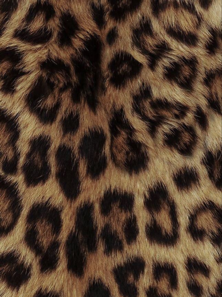 Leopard Print