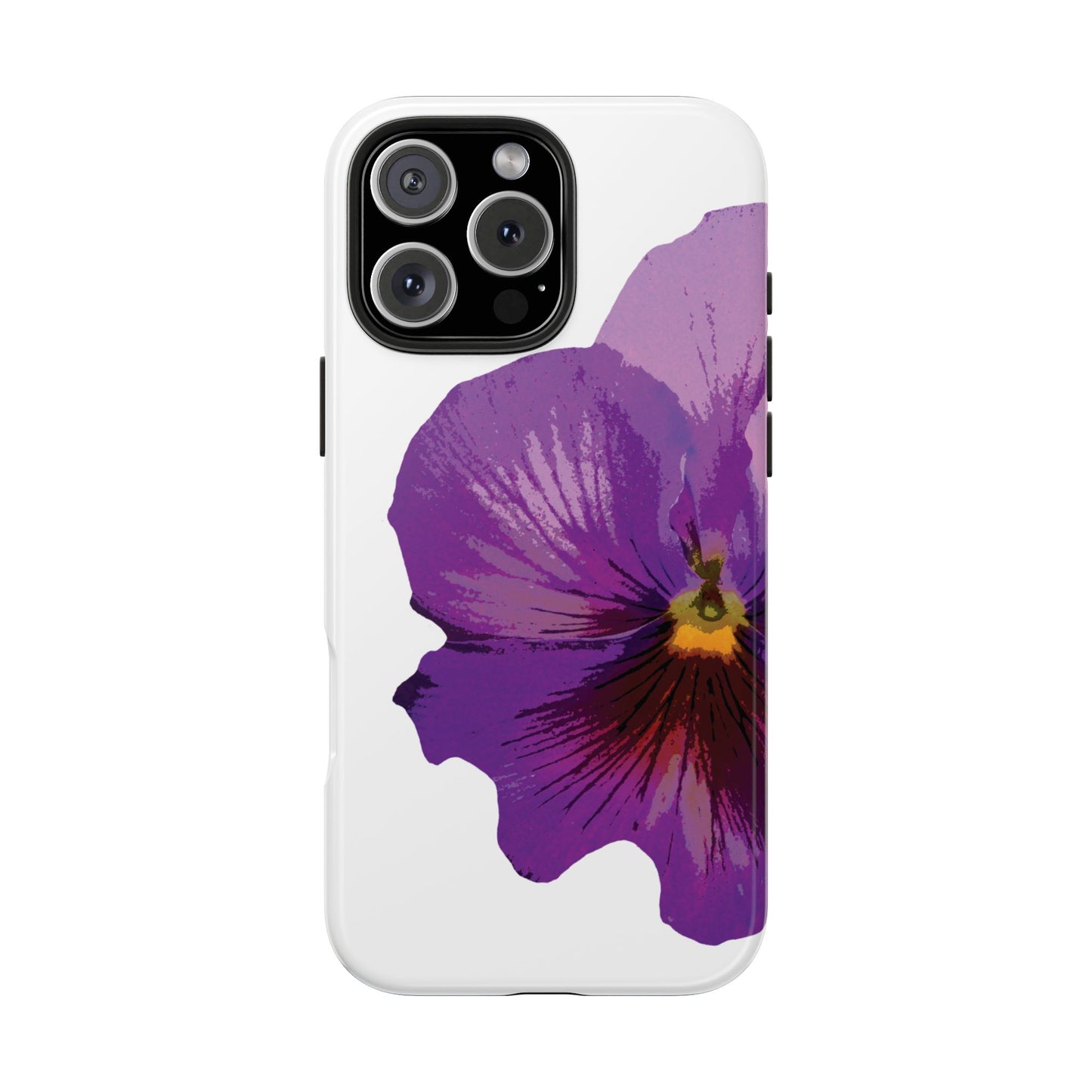 Purple Pansy
