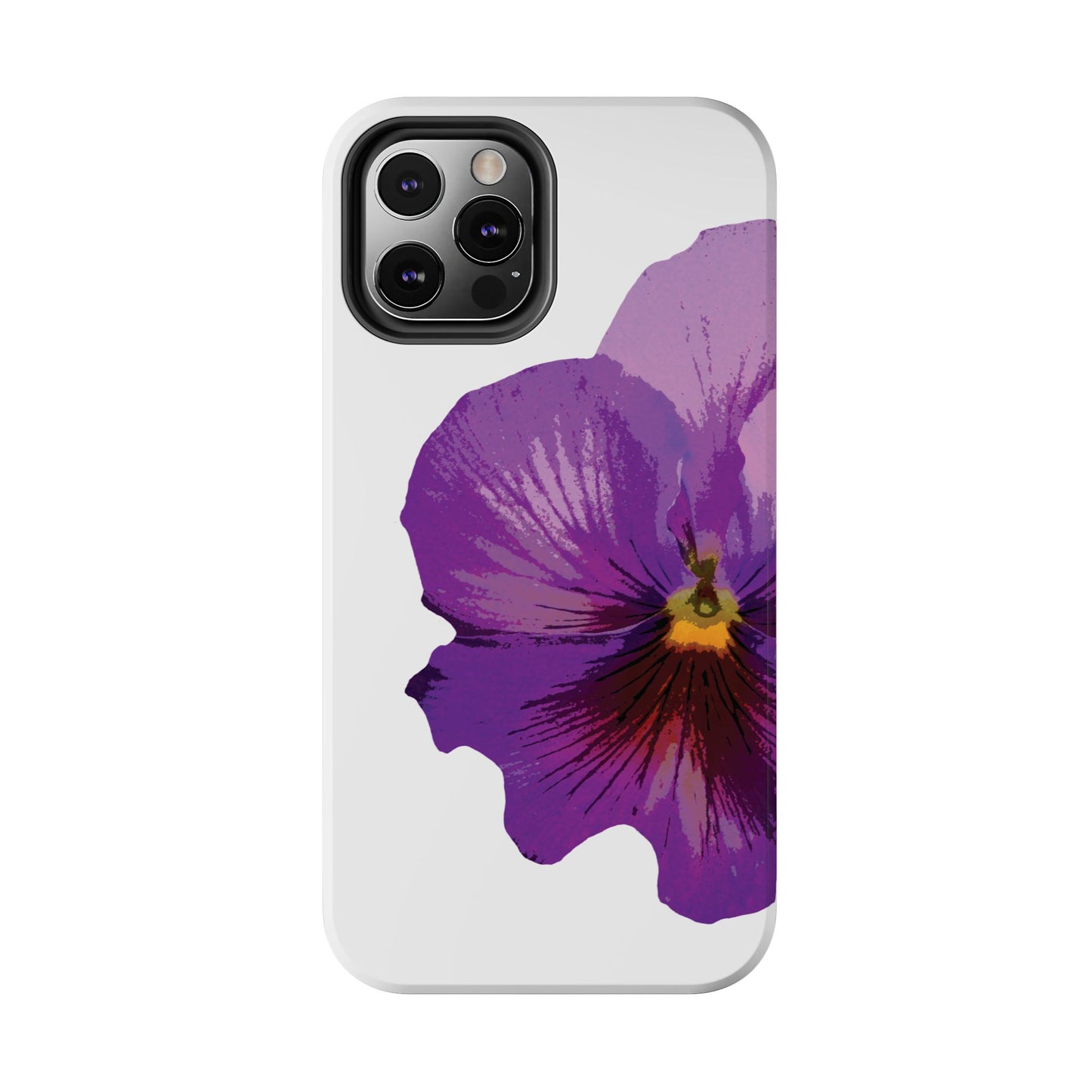 Purple Pansy