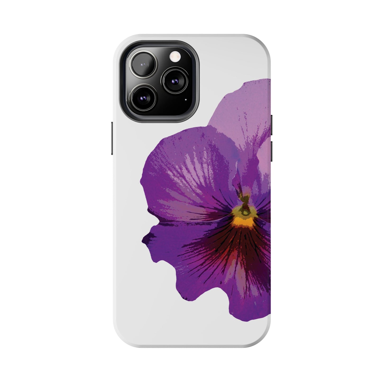 Purple Pansy