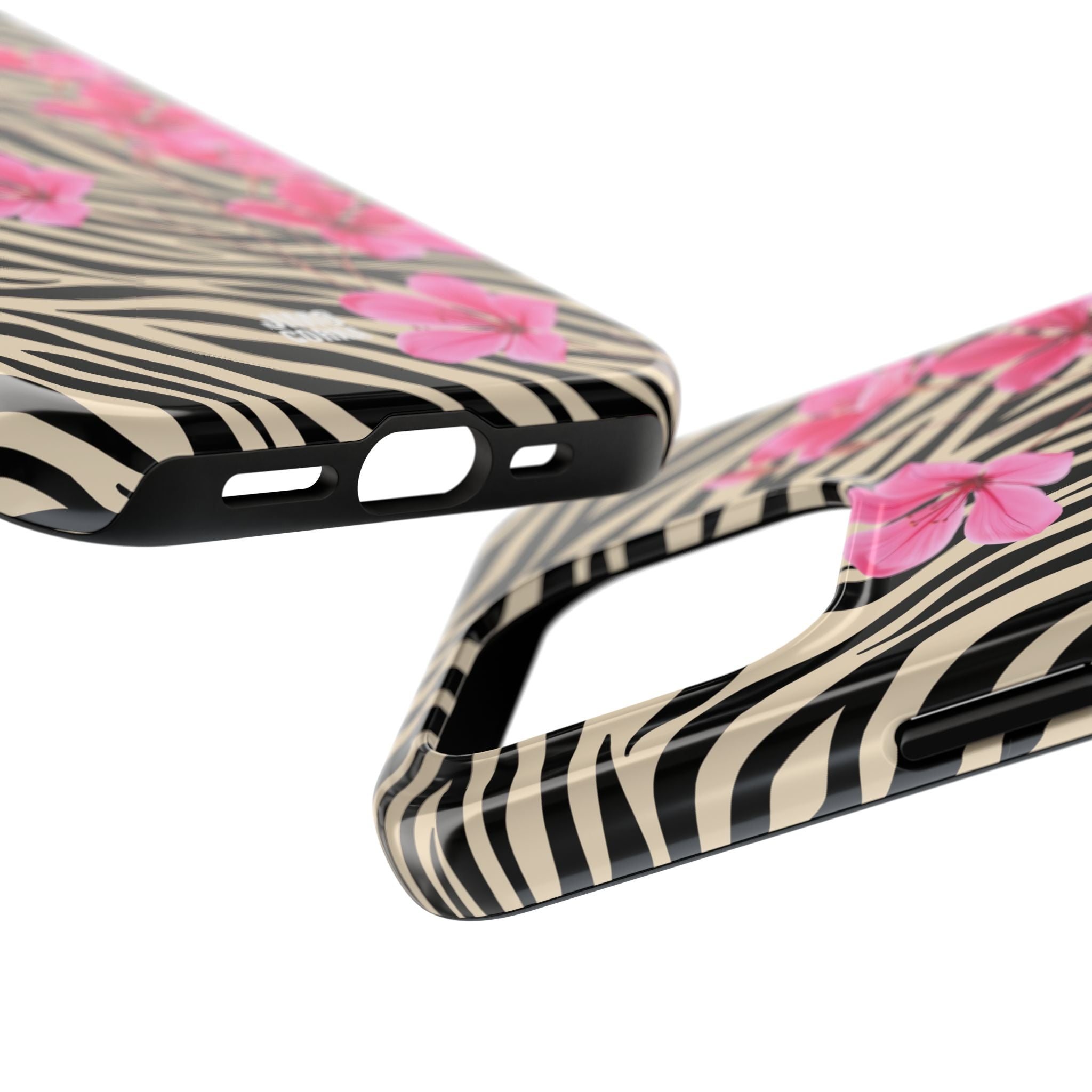 Fetch Zebra