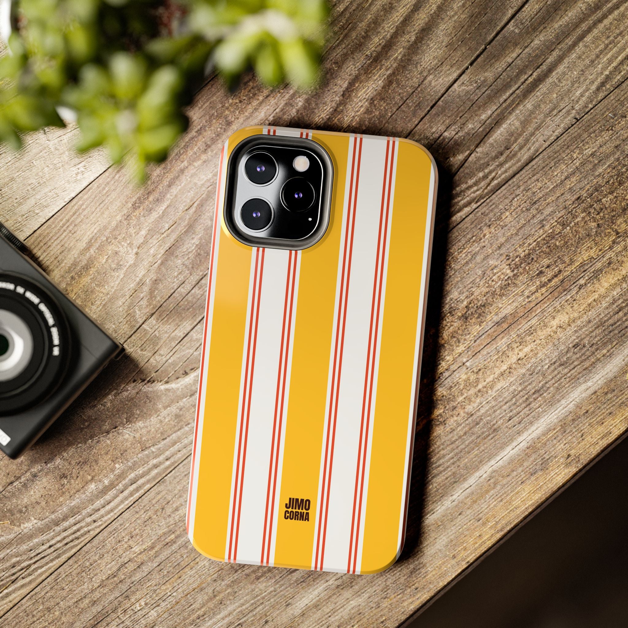 Taylor Beach Stripes